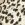 Animal Printed 3/4 Sleeve Midi Dress