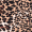 Animal Print Tie Detail Top