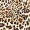 Animal Printed Maxi Dress With Tie Waist