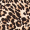 2 in 1 Animal Print High Neck Jumpsuit