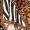 Animal Print Wrap Midi Dress
