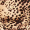 Animal Print Frill Dress