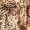 Animal Print Button Up Jumpsuit