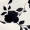 Black And Cream 2 In 1 Floral Printed Midi Dress