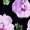 Black And Lilac Floral Printed Tie Waist Jumpsuit