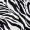 Black And White Zebra Print Flutter Sleeve Midi Dress