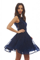 All-Over Lace Skater Dress